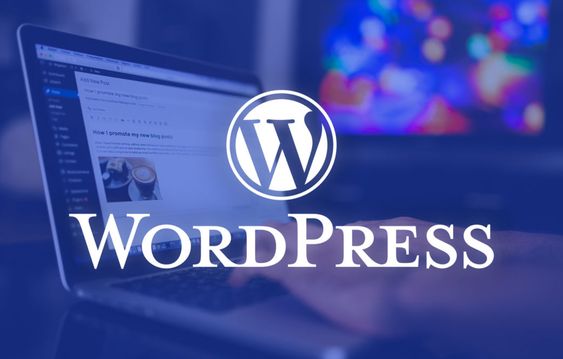 How to Choose the Right WordPress Theme for Your Business