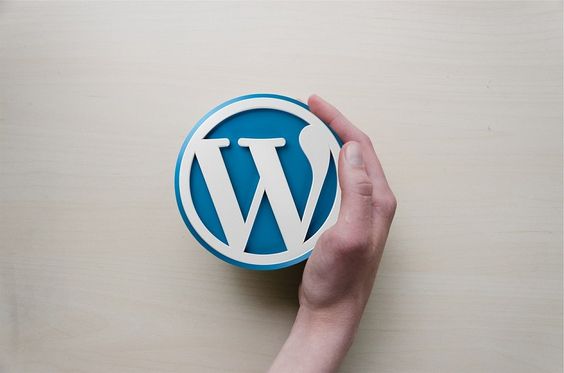 Top 10 Must-Have Plugins for Every WordPress Site